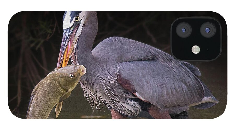 Bird iPhone 12 Case featuring the photograph Spear Fisher by Bruce Bonnett