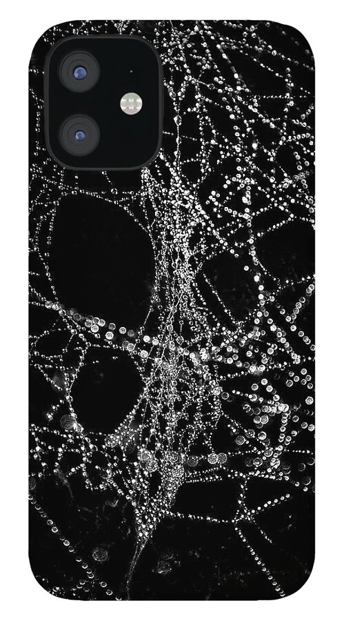 Brian Carson iPhone 12 Case featuring the photograph Spiderweb No 4 by Brian Carson