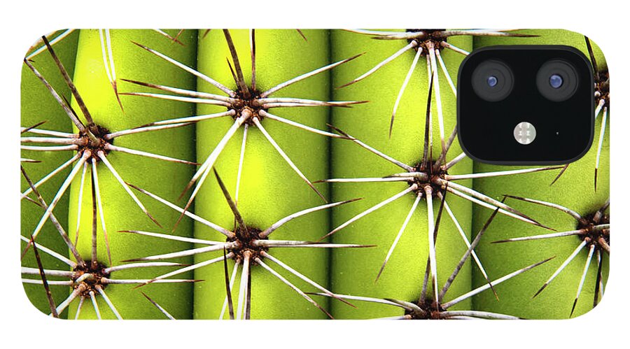 Cactus iPhone 12 Case featuring the photograph Spines by Karen Smale
