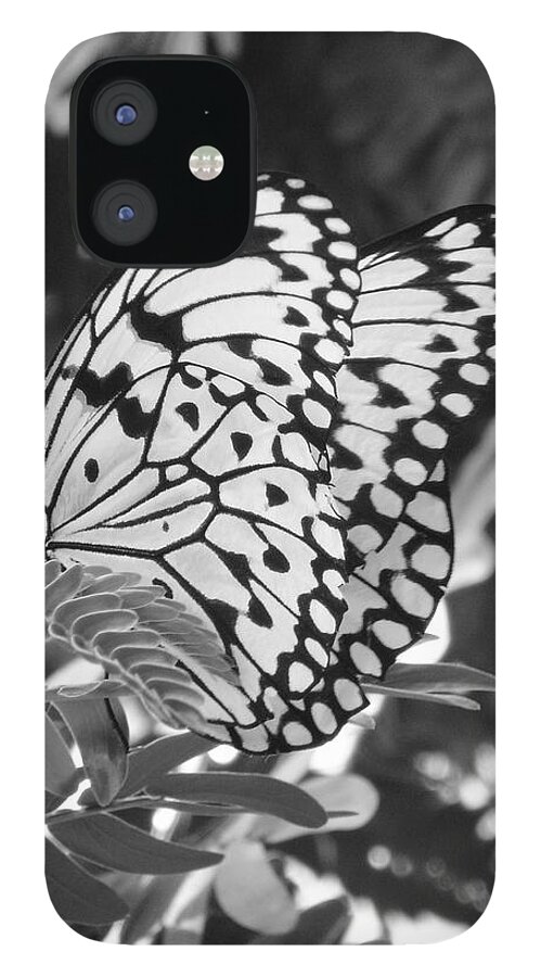 Photography iPhone 12 Case featuring the photograph Spread you wings and fly by Shelley Jones