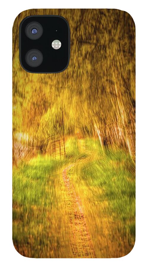 Path iPhone 12 Case featuring the digital art Spring 2017 #g3 by Leif Sohlman