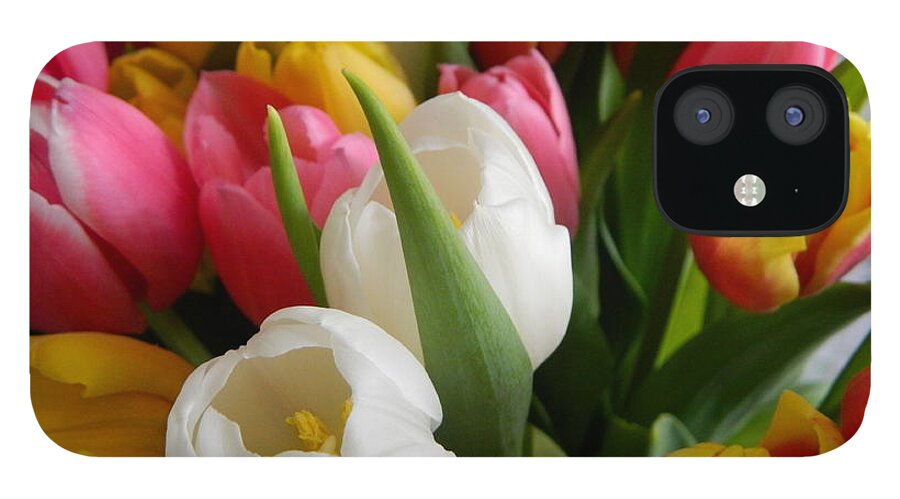 Tulip iPhone 12 Case featuring the photograph Spring Mix 2016 by Karen Mesaros