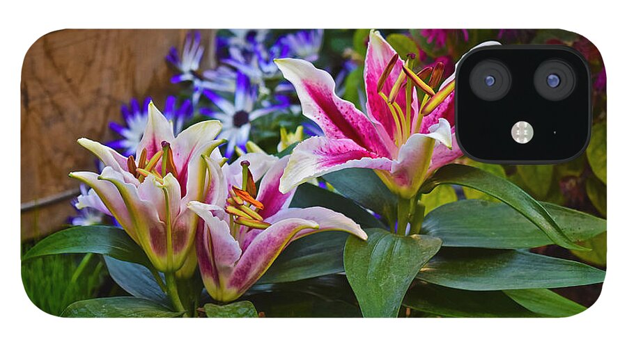 Oriental Lilies iPhone 12 Case featuring the photograph Spring Show 15 Lily Trio by Janis Senungetuk