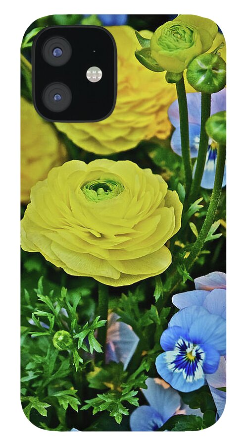 Ranunculus iPhone 12 Case featuring the photograph Spring Show 18 Persian Buttercup with Horned Viola by Janis Senungetuk