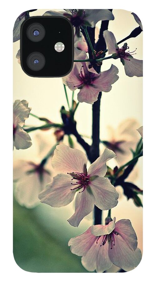Arkansas iPhone 12 Case featuring the photograph Spring's Delicate Dance by KayeCee Spain