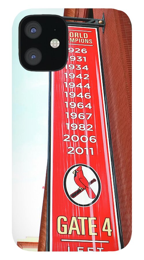  St. Louis Cardinals Banner and Scroll Sign : Sports & Outdoors