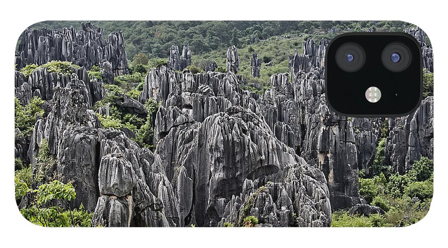 China iPhone 12 Case featuring the photograph Stone Forest by Wade Aiken