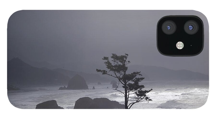 Pacific Ocean iPhone 12 Case featuring the photograph Stormy Beach by Cathy Anderson