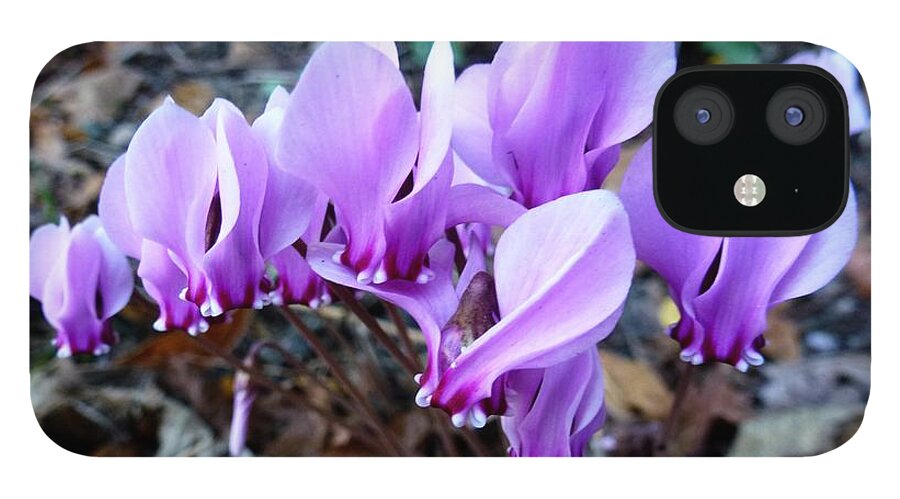 Aliens iPhone 12 Case featuring the photograph Strange Flower 4 by Jean Bernard Roussilhe
