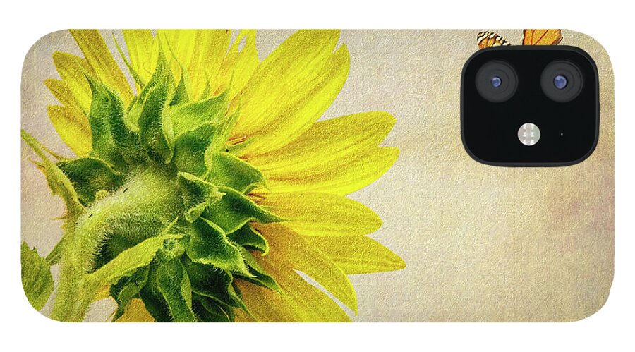 Sunflower iPhone 12 Case featuring the photograph Summer Sun by Cathy Kovarik