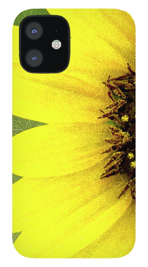 Sunflower iPhone 12 Case featuring the photograph Sunflower by Joe Paul