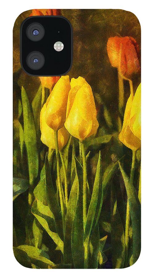 Flowers iPhone 12 Case featuring the digital art Sunny Tulips by JGracey Stinson