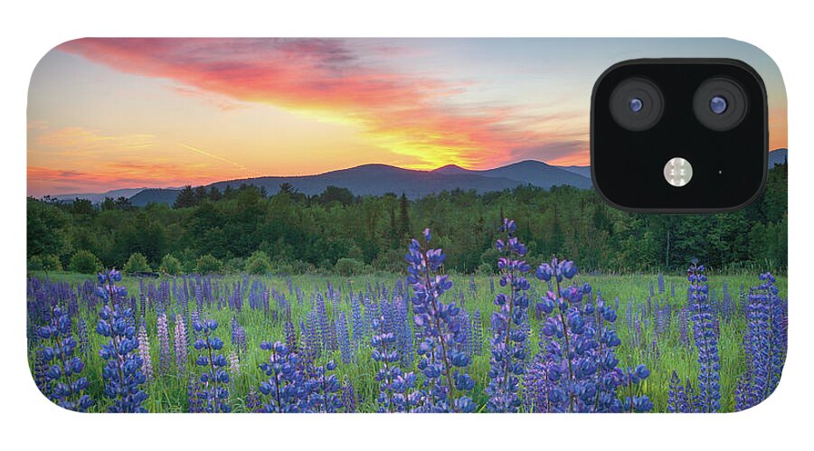 #surise#lupines#sugarhill#newhampshire#landscape#field#mountains iPhone 12 Case featuring the photograph Sunrise Over the Ridge by Darylann Leonard Photography