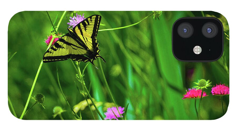Butterfly iPhone 12 Case featuring the photograph Swallowtail Butterfly by Steph Gabler