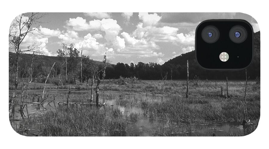 Ansel Adams iPhone 12 Case featuring the photograph SwampOEM by Curtis J Neeley Jr