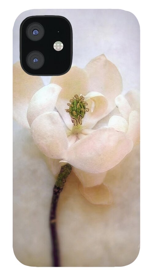 Magnolia iPhone 12 Case featuring the photograph Sweet Bay Magnolia Bloom by Louise Kumpf