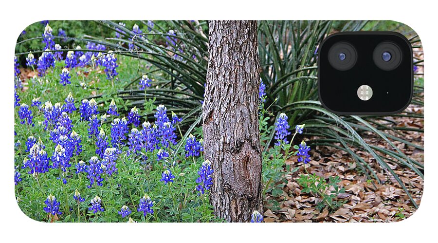 Landscape iPhone 12 Case featuring the photograph Texas Bluebonnets by Matalyn Gardner
