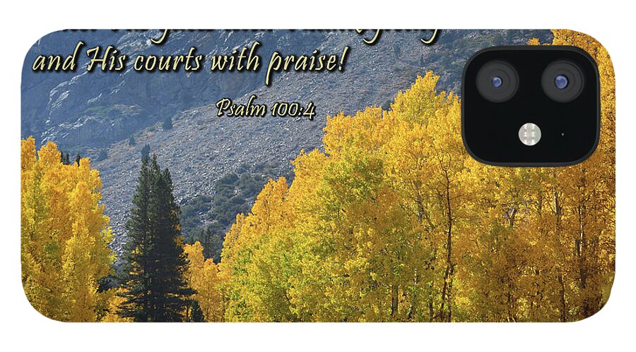 Scripture iPhone 12 Case featuring the photograph Thankful by Brian Tada