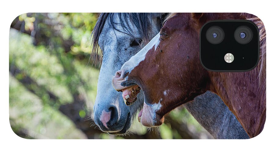 Horse iPhone 12 Case featuring the photograph That's What She Said by Douglas Killourie