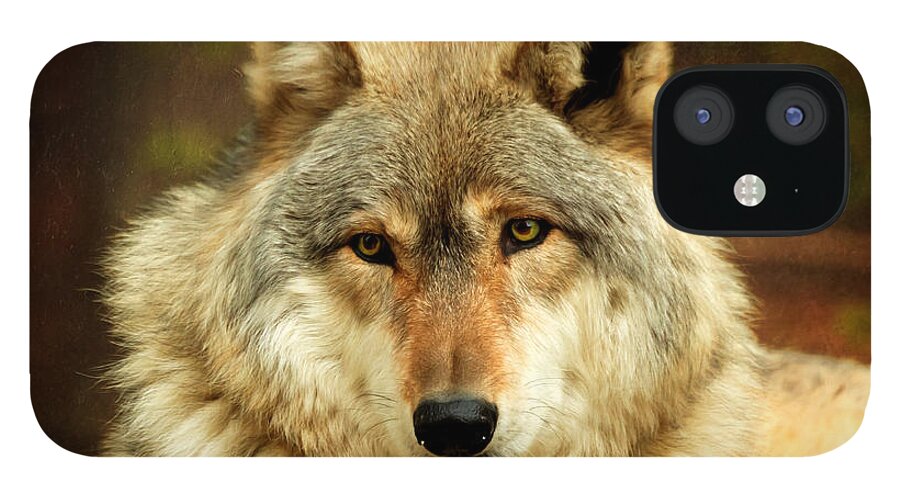 Animal iPhone 12 Case featuring the photograph The Alpha by Susan Rissi Tregoning
