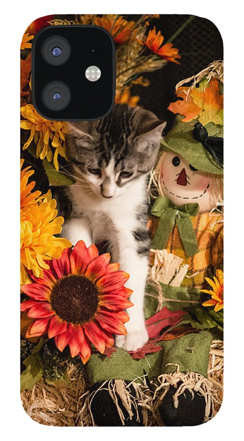 Kitten iPhone 12 Case featuring the photograph The Centerpiece by Pamela Taylor