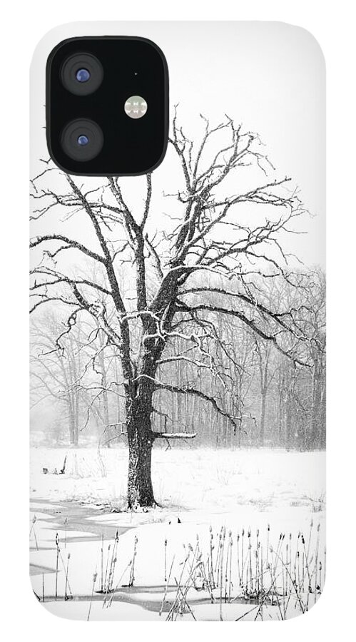 Black And White iPhone 12 Case featuring the photograph The Stillness by Michael Hubley
