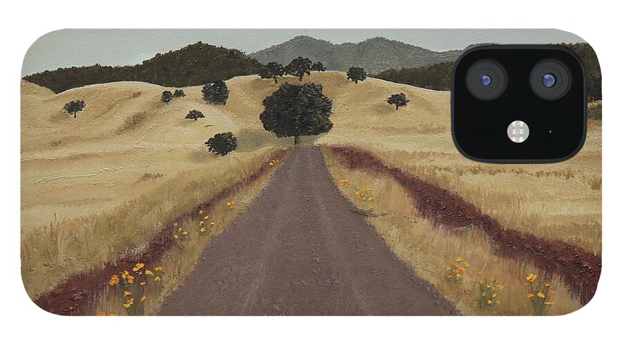 San Jose iPhone 12 Case featuring the painting The Drive by Stephen Krieger