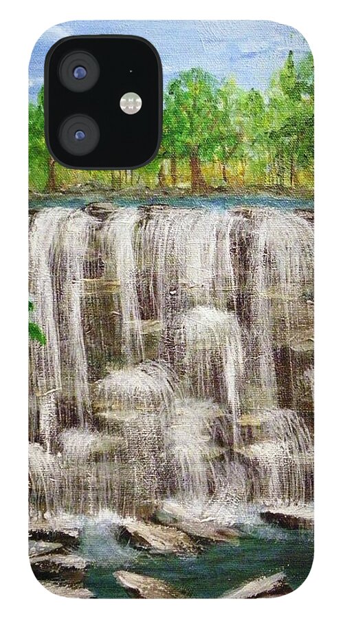 Acylics iPhone 12 Case featuring the painting The Falls by Peggy King