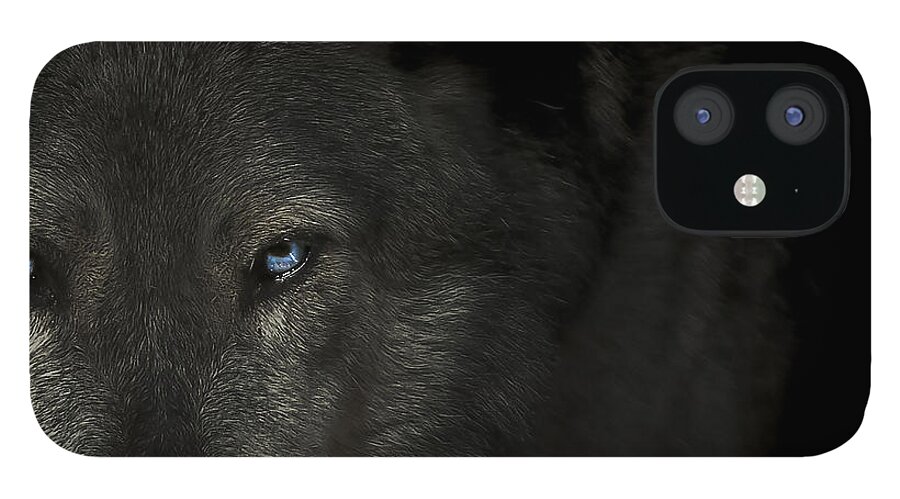 Wolf iPhone 12 Case featuring the photograph The final hour by Paul Neville