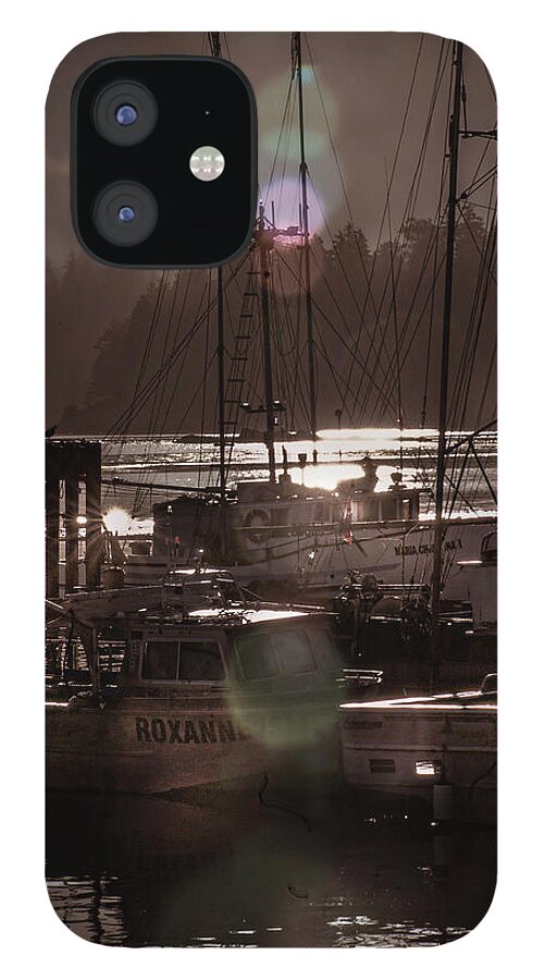 Boats iPhone 12 Case featuring the photograph The Fleet by Barry Weiss