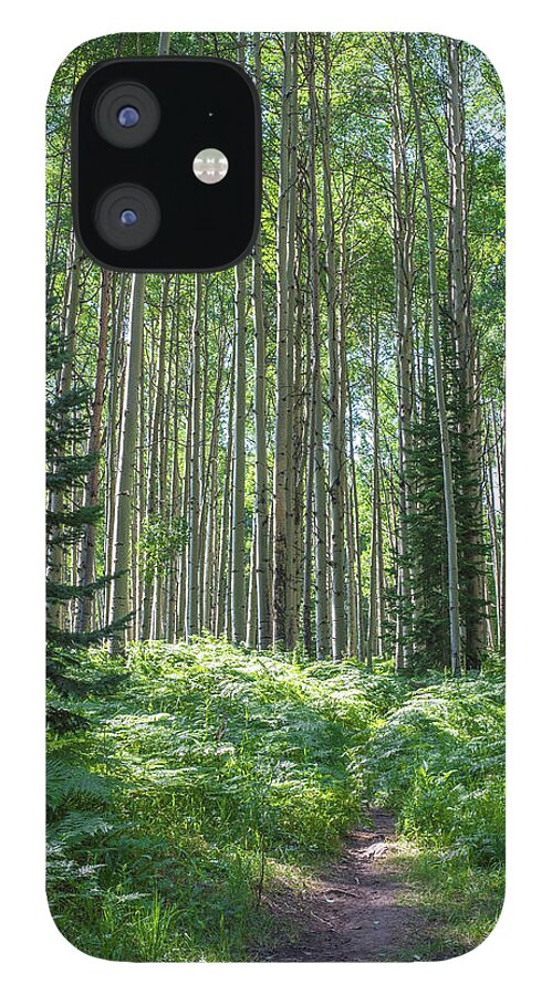 Forest iPhone 12 Case featuring the photograph The Forest Trail by Jody Partin