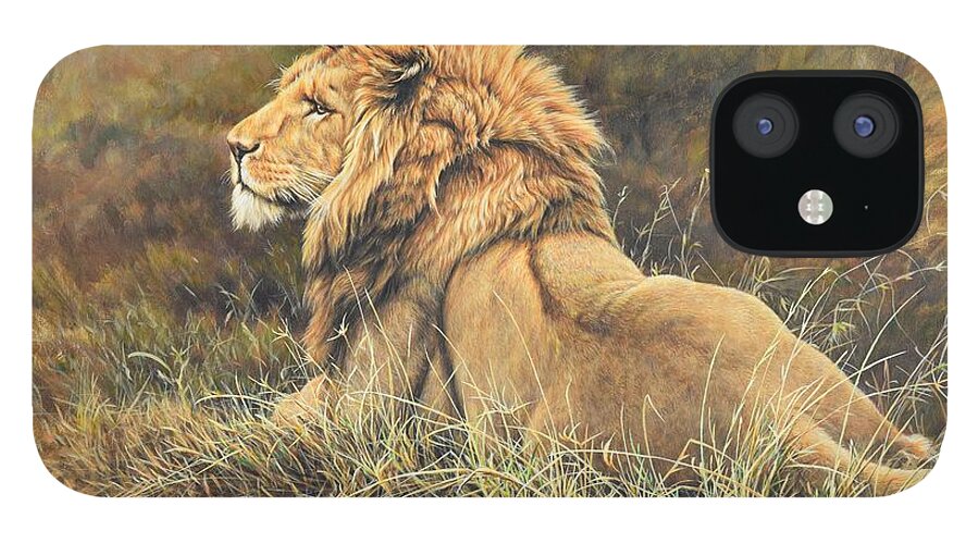 Lion iPhone 12 Case featuring the photograph The King Lion Study by Alan M Hunt