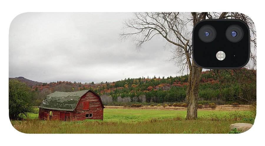 Barn iPhone 12 Case featuring the photograph The Old Barn with Tree by Nancy De Flon