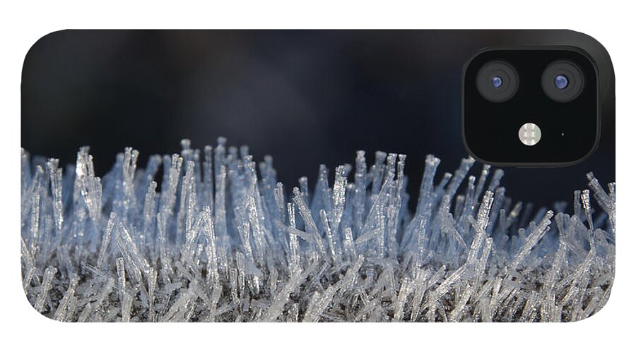 Forst iPhone 12 Case featuring the photograph This is Frost by Gary Karlsen