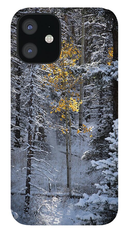 Aspen iPhone 12 Case featuring the photograph This Little Light Of Mine by Ron Weathers