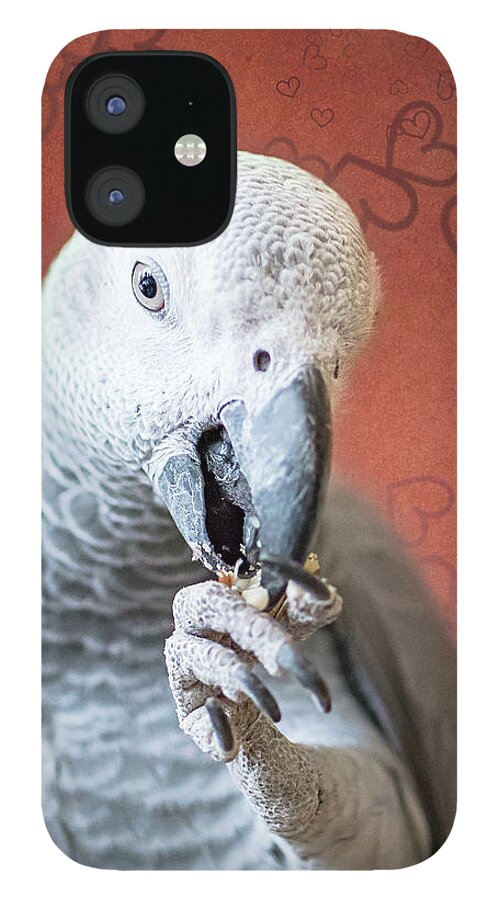 Love iPhone 12 Case featuring the photograph To Be Owned By a Grey Is To Know Love by Jennifer Grossnickle