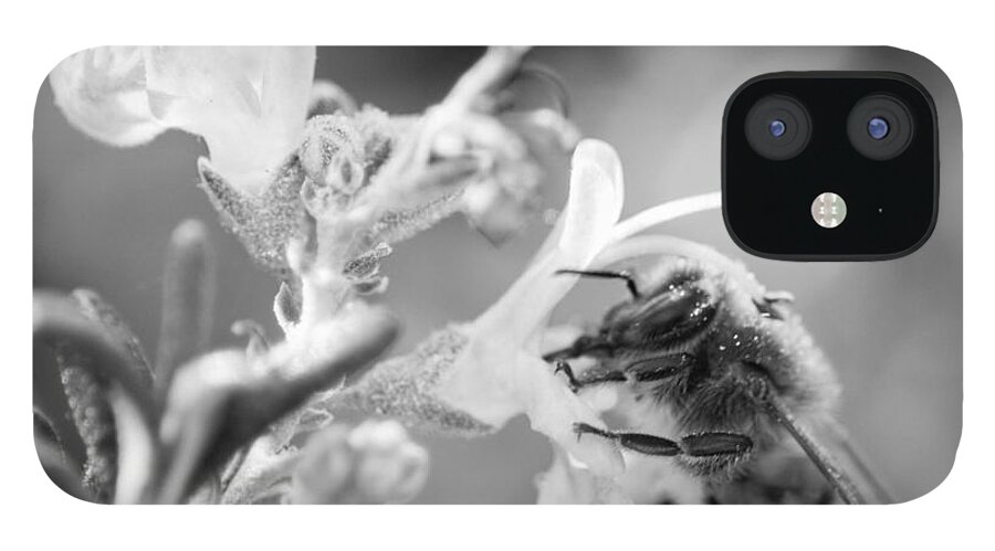 Bees iPhone 12 Case featuring the photograph To Bee Different by Wendy Carrington