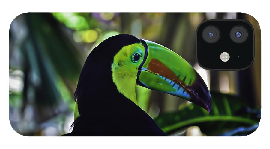 Toucan iPhone 12 Case featuring the photograph Toucan by PatriZio M Busnel