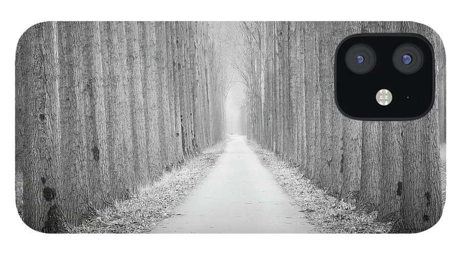 Tree iPhone 12 Case featuring the photograph Tree Lane by Wim Lanclus