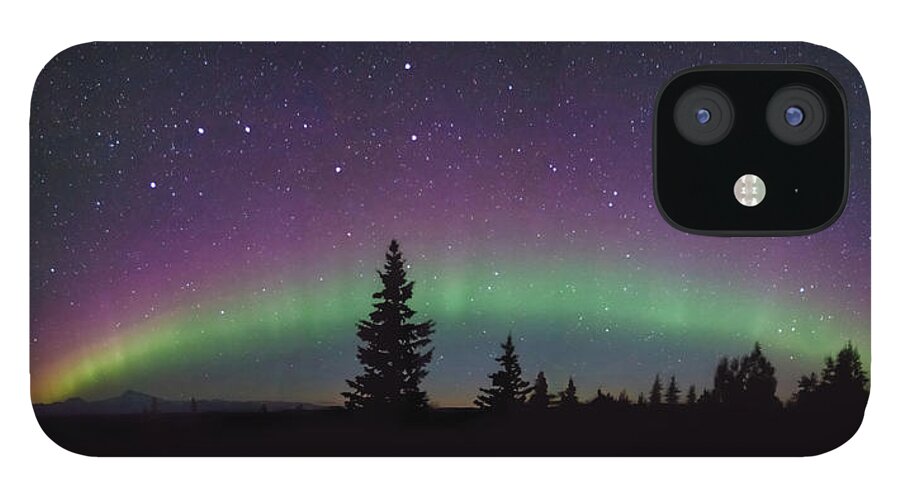 Alaska iPhone 12 Case featuring the photograph Trouble on the Mountain by Sylvia J Zarco