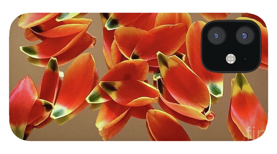 Color Pattern Energy Tulip iPhone 12 Case featuring the photograph Tulip Series 1-1 by J Doyne Miller