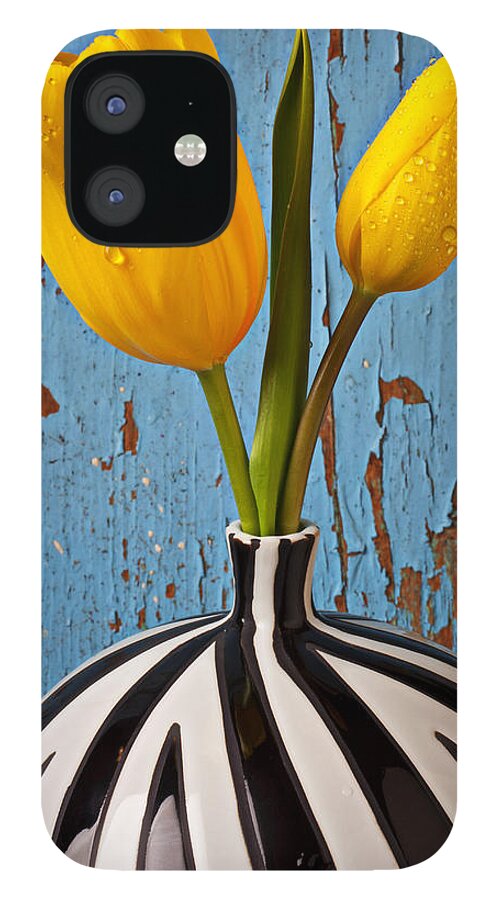 Two Yellow iPhone 12 Case featuring the photograph Two Yellow Tulips by Garry Gay