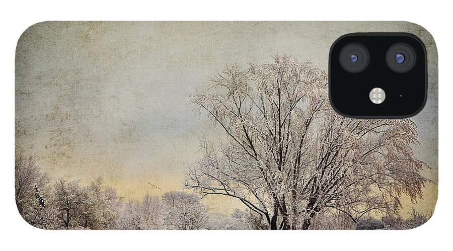 Tree iPhone 12 Case featuring the photograph Unity Park 1 by Al Mueller