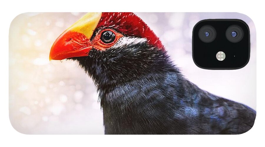 Violet Turaco iPhone 12 Case featuring the photograph Violet Turaco by Jaroslav Buna