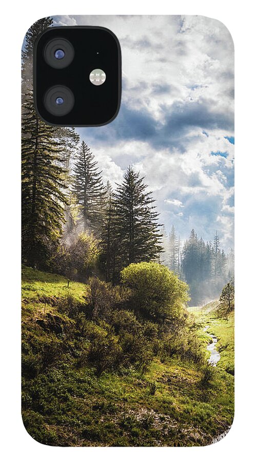 Landscape iPhone 12 Case featuring the photograph Waiting Out the Rain by Laura Roberts