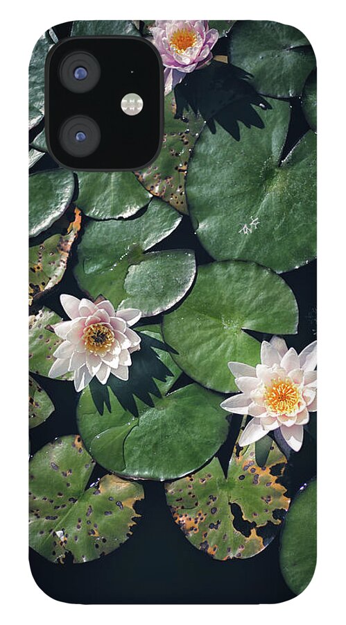California iPhone 12 Case featuring the photograph Water Triad by Jason Roberts