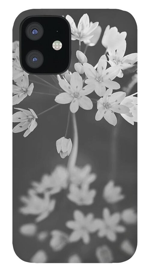 Flowers iPhone 12 Case featuring the photograph What the Heart Wants by Laurie Search