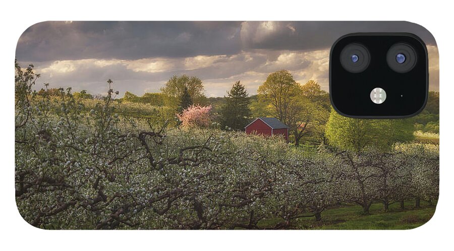 Orchard iPhone 12 Case featuring the photograph Where The Heart Belongs by Kim Carpentier
