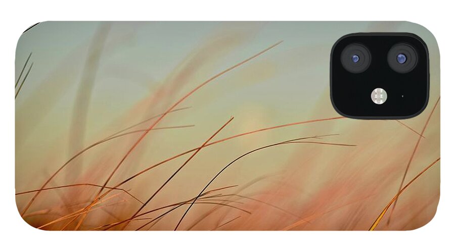 Beach Grass iPhone 12 Case featuring the photograph Whispering Grass by Debra Banks