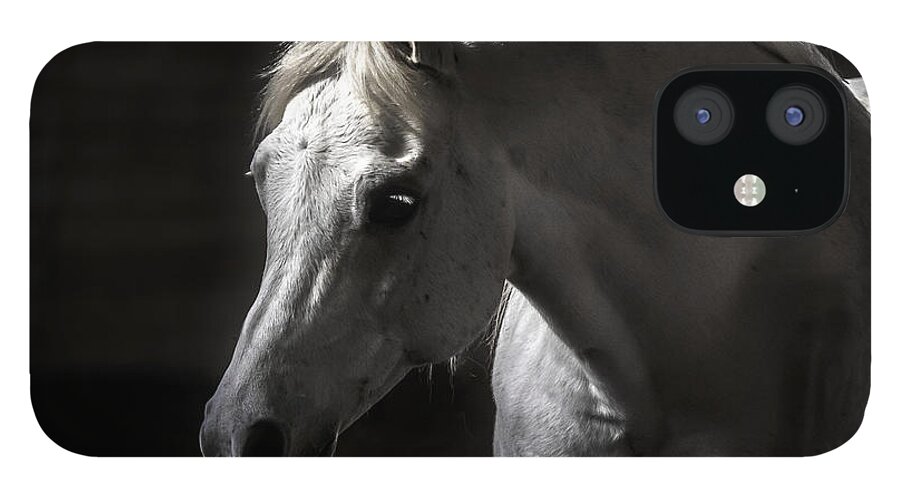 White Beauty iPhone 12 Case featuring the photograph White Beauty by Wes and Dotty Weber